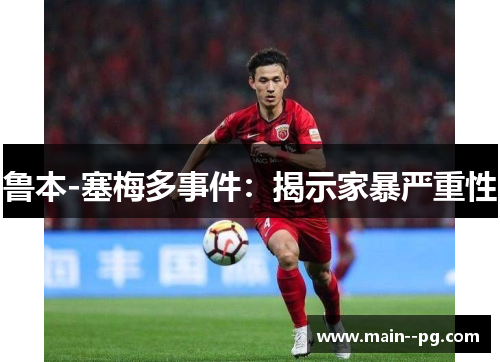 鲁本-塞梅多事件：揭示家暴严重性